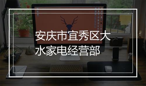 安庆市宜秀区大水家电经营部
