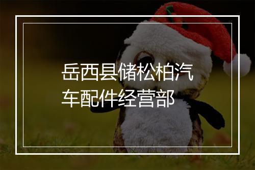 岳西县储松柏汽车配件经营部