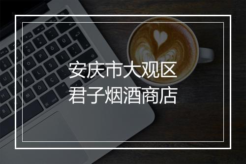 安庆市大观区君子烟酒商店