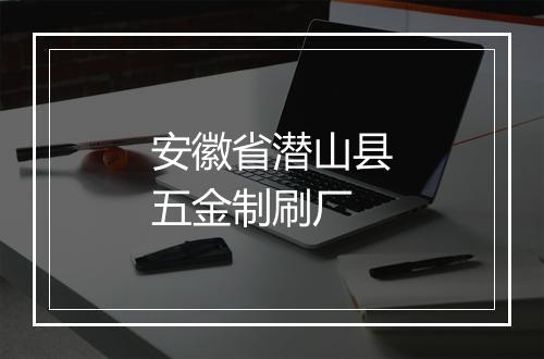 安徽省潜山县五金制刷厂