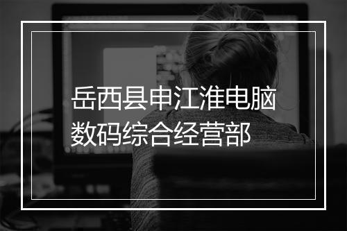 岳西县申江淮电脑数码综合经营部