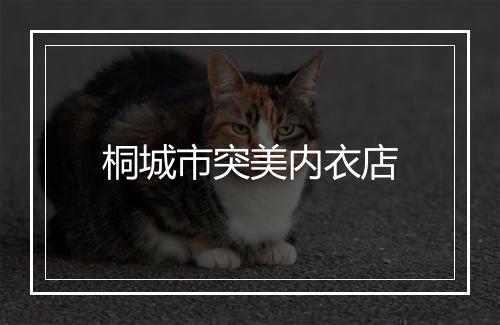 桐城市突美内衣店