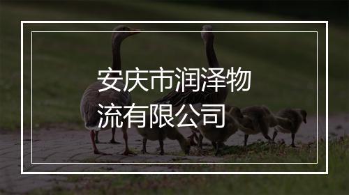 安庆市润泽物流有限公司