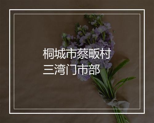 桐城市蔡畈村三湾门市部