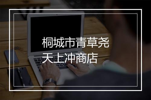 桐城市青草尧天上冲商店
