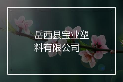 岳西县宝业塑料有限公司