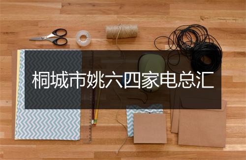 桐城市姚六四家电总汇