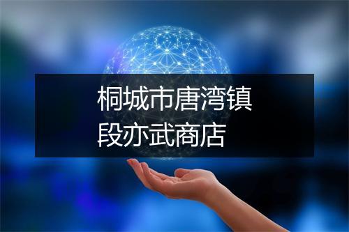 桐城市唐湾镇段亦武商店
