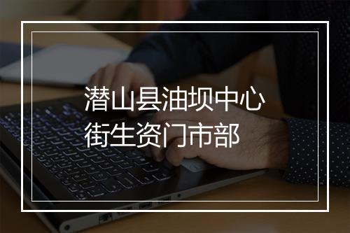 潜山县油坝中心街生资门市部
