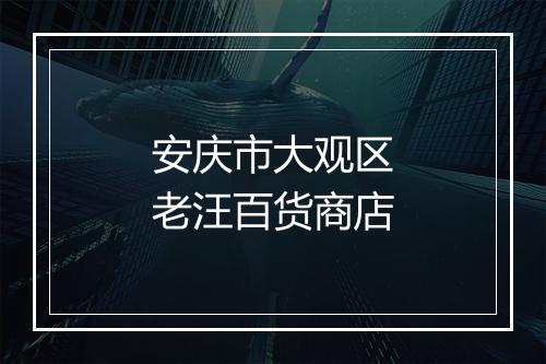 安庆市大观区老汪百货商店