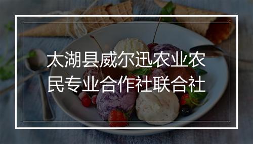 太湖县威尔迅农业农民专业合作社联合社