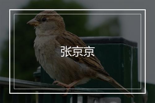 张京京