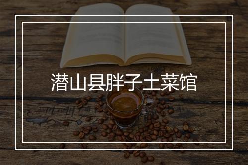 潜山县胖子土菜馆