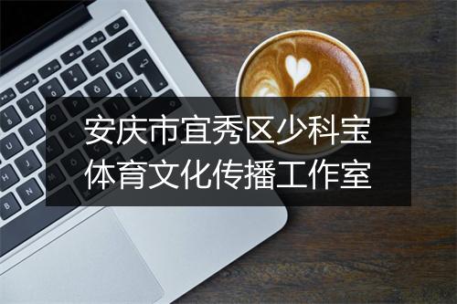 安庆市宜秀区少科宝体育文化传播工作室