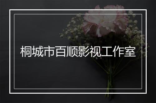 桐城市百顺影视工作室