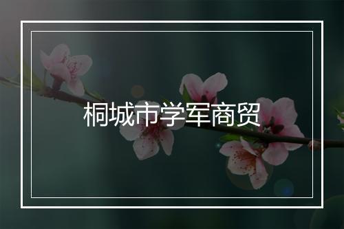 桐城市学军商贸