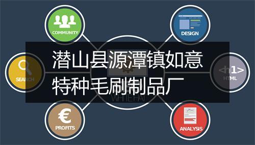 潜山县源潭镇如意特种毛刷制品厂