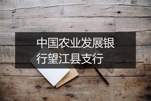 中国农业发展银行望江县支行