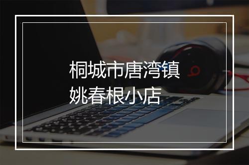 桐城市唐湾镇姚春根小店