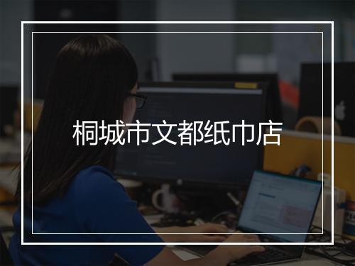 桐城市文都纸巾店