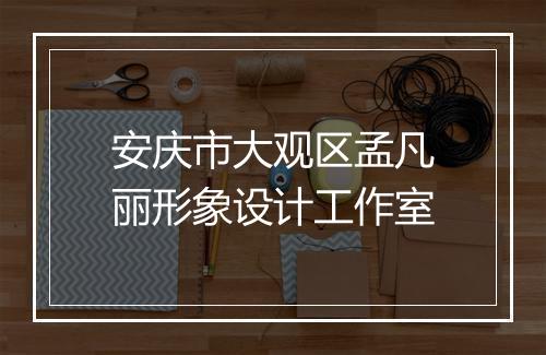 安庆市大观区孟凡丽形象设计工作室
