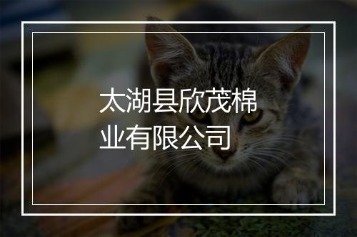 太湖县欣茂棉业有限公司