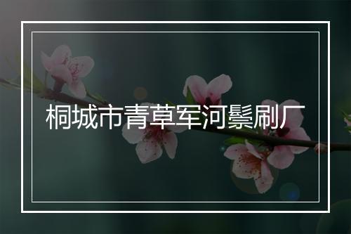 桐城市青草军河鬃刷厂