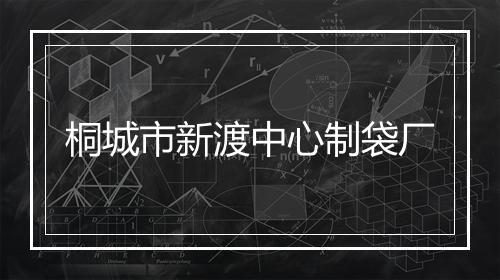 桐城市新渡中心制袋厂