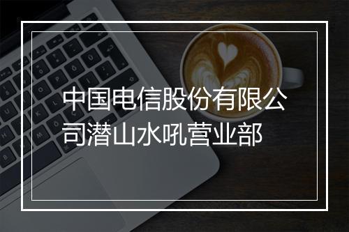 中国电信股份有限公司潜山水吼营业部