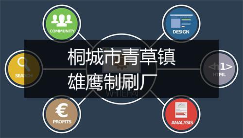 桐城市青草镇雄鹰制刷厂