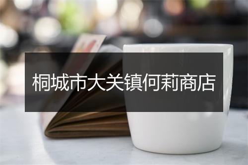 桐城市大关镇何莉商店