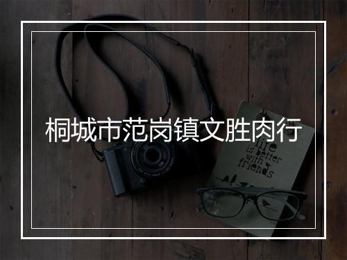 桐城市范岗镇文胜肉行