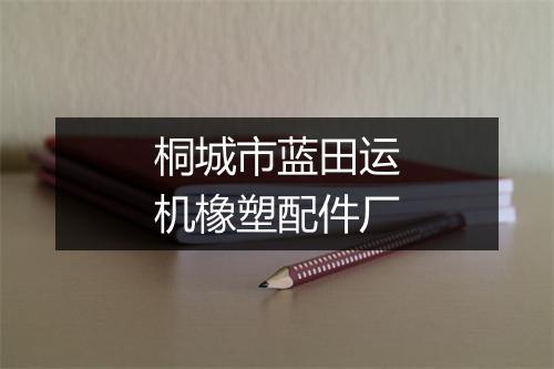 桐城市蓝田运机橡塑配件厂