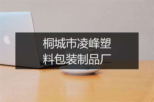 桐城市凌峰塑料包装制品厂