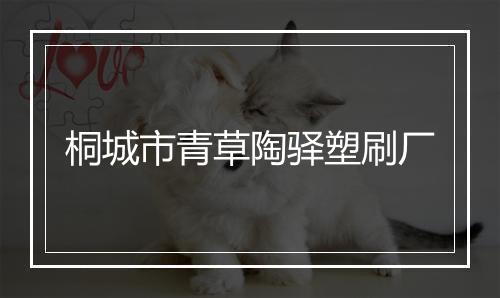 桐城市青草陶驿塑刷厂