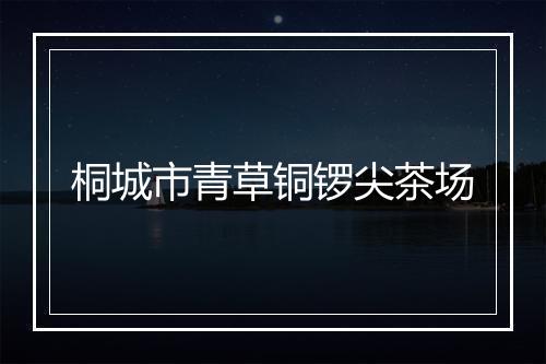 桐城市青草铜锣尖茶场
