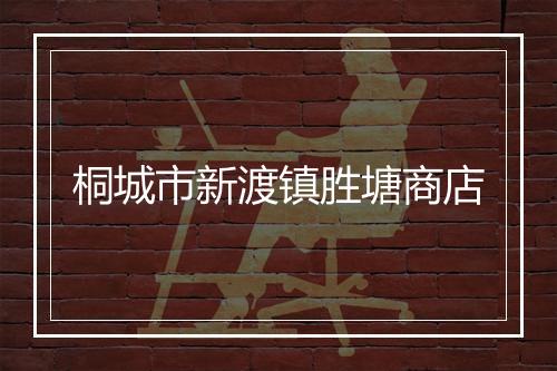 桐城市新渡镇胜塘商店