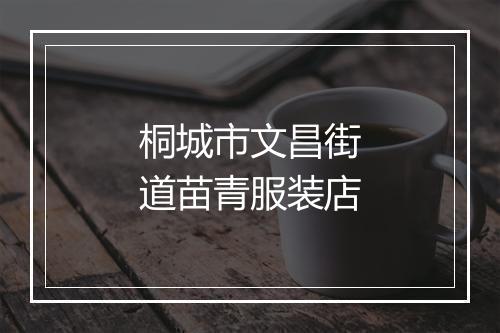 桐城市文昌街道苗青服装店