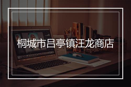 桐城市吕亭镇汪龙商店