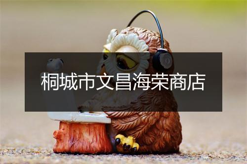 桐城市文昌海荣商店