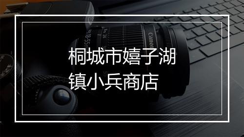 桐城市嬉子湖镇小兵商店