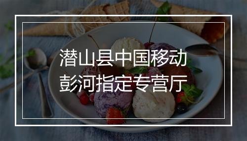 潜山县中国移动彭河指定专营厅