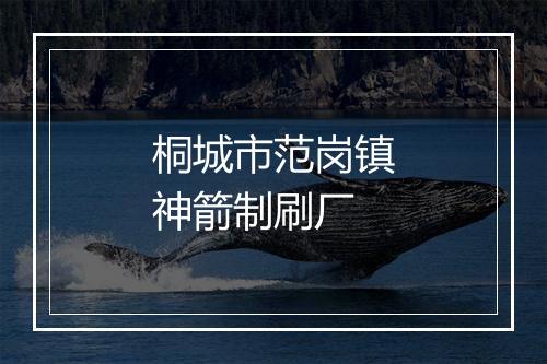 桐城市范岗镇神箭制刷厂