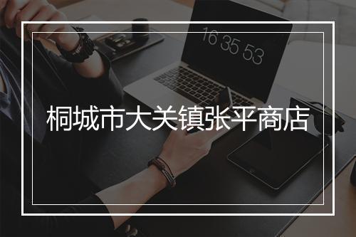 桐城市大关镇张平商店