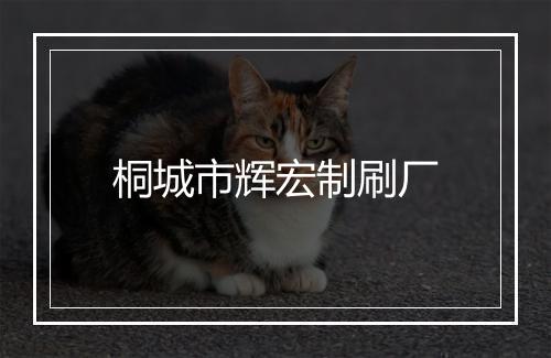 桐城市辉宏制刷厂