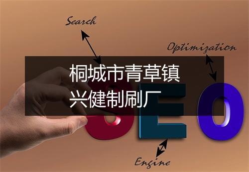 桐城市青草镇兴健制刷厂