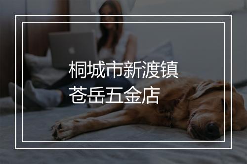桐城市新渡镇苍岳五金店
