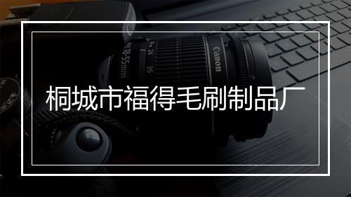 桐城市福得毛刷制品厂