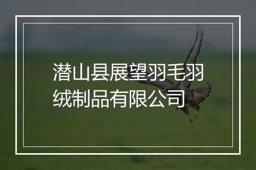 潜山县展望羽毛羽绒制品有限公司