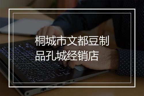 桐城市文都豆制品孔城经销店